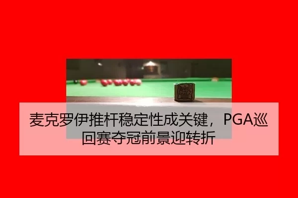 mai-ke-luo-yi-tui-gan-wen-ding-xing-cheng-guan-jian-xun-hui-sai-duo-guan-qian-jing-ying-zhuan-zhe-3-746.jpg