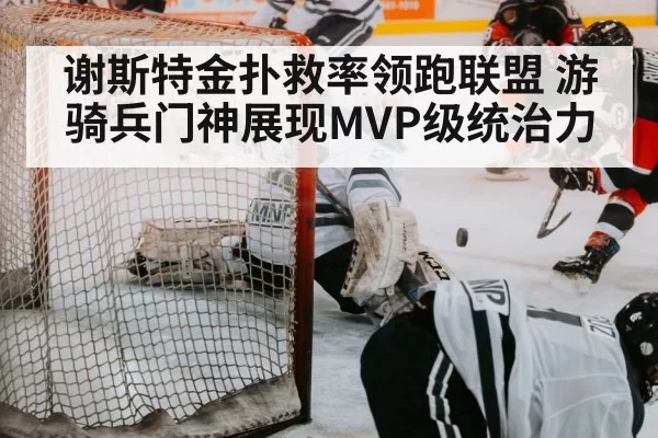 hockey save